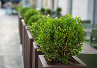  Make Your Business More Inviting Through Our Planter Program