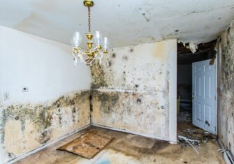  5 Biggest Problems Caused by Water Damage