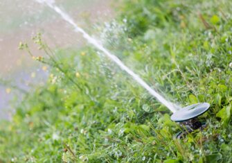 Sprinkler watering grass Don't Have a Green Thumb? Here Are Some Irrigation Services for Your Residence