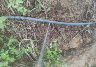 Irrigation system hose with a hole in it Troubleshooting Problems with Your Irrigation System