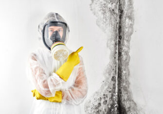  Top 5 Reasons You Should Remove Mold